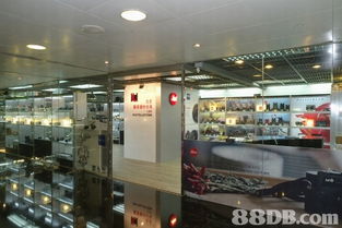 全方位攝影服務(wù)指南 從婚紗到家庭，捕捉每個珍貴瞬間